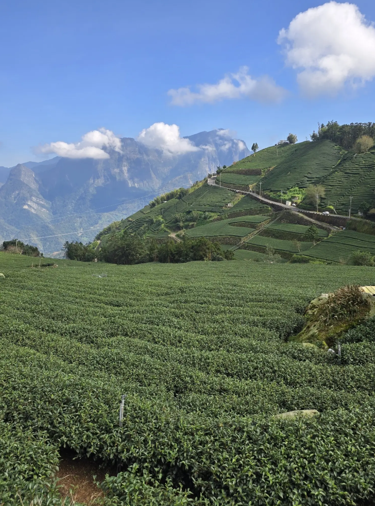 The Mountain Goats: Taiwan’s Toughest  Cycling Tour!