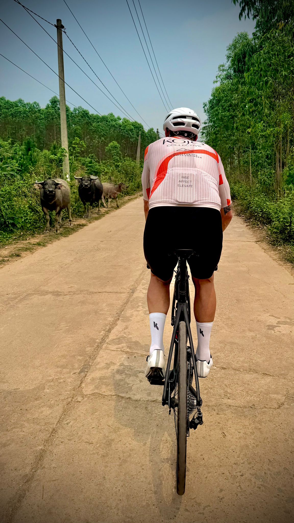 Ha Giang Loop Tour / Stage 1 / Hanoi to Thai Nguyen