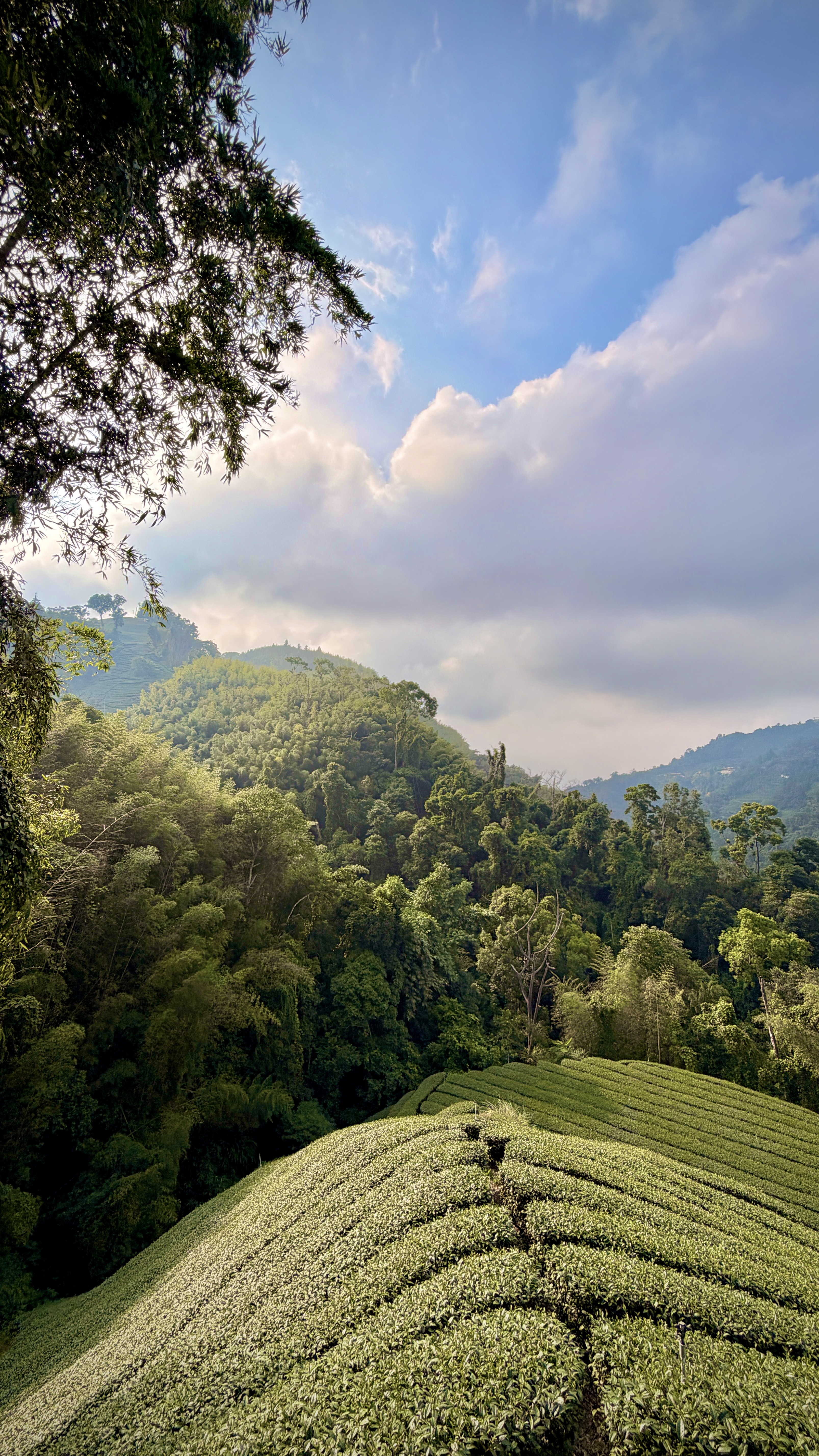 TAIWAN KOM TOURS / ROUTE BUILDING / 3 Days & A Whole Lotta Love